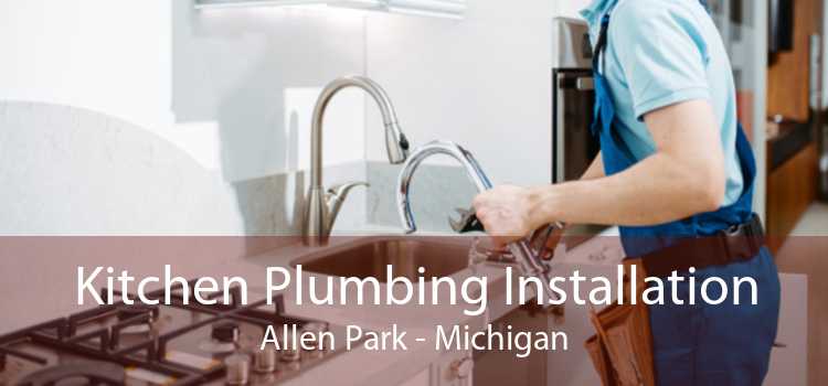 Kitchen Plumbing Installation Allen Park - Michigan