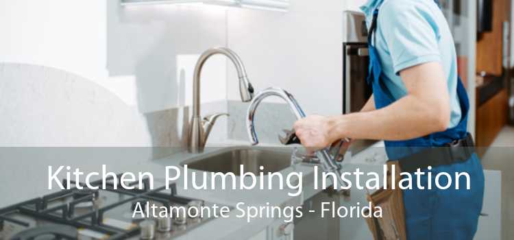 Kitchen Plumbing Installation Altamonte Springs - Florida