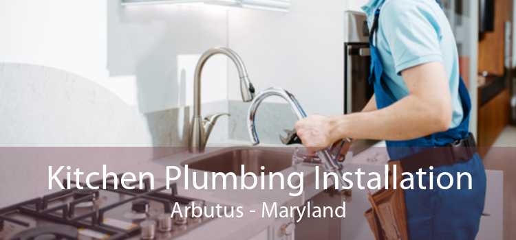 Kitchen Plumbing Installation Arbutus - Maryland