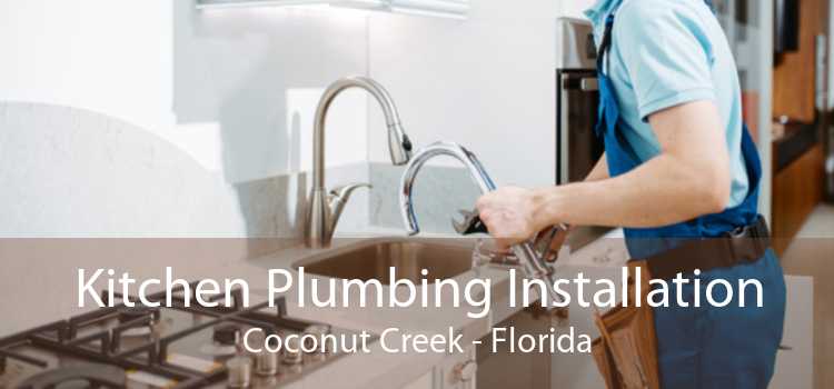 Kitchen Plumbing Installation Coconut Creek - Florida