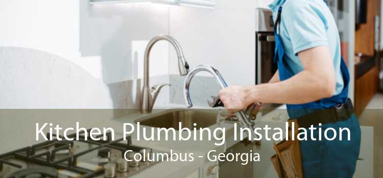 Kitchen Plumbing Installation Columbus - Georgia