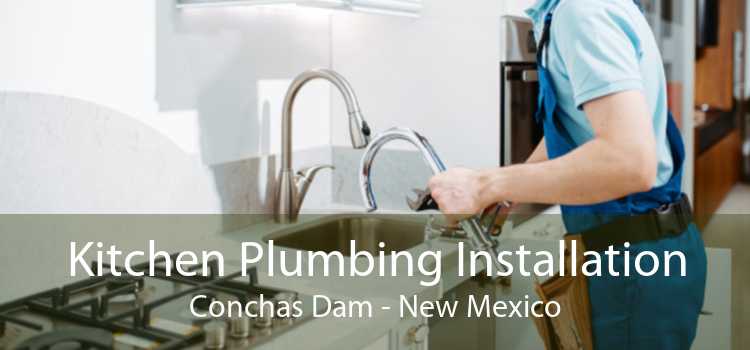 Kitchen Plumbing Installation Conchas Dam - New Mexico