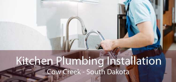 Kitchen Plumbing Installation Cow Creek - South Dakota