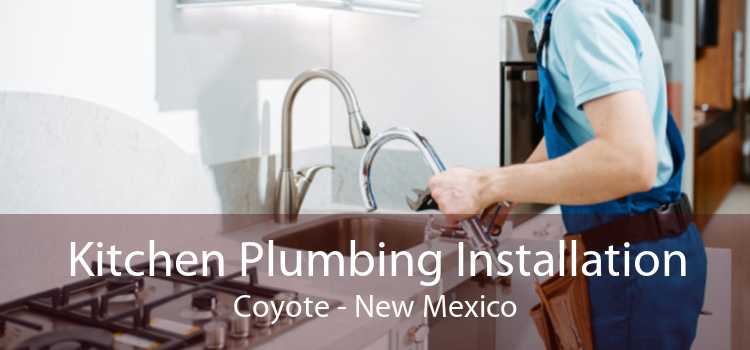 Kitchen Plumbing Installation Coyote - New Mexico