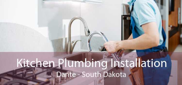 Kitchen Plumbing Installation Dante - South Dakota