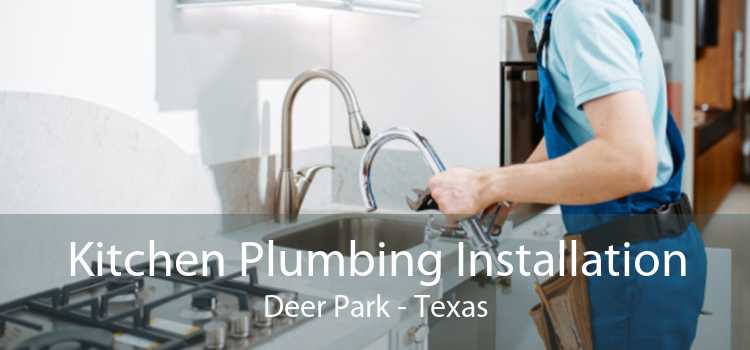 Kitchen Plumbing Installation Deer Park - Texas