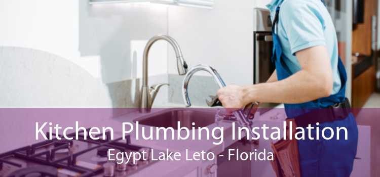 Kitchen Plumbing Installation Egypt Lake Leto - Florida