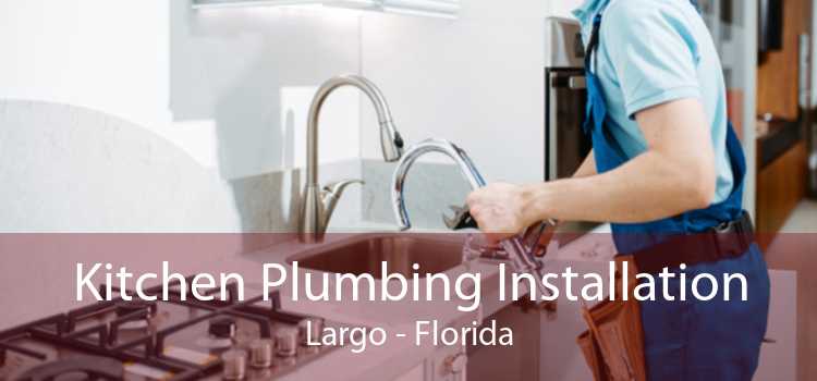 Kitchen Plumbing Installation Largo - Florida