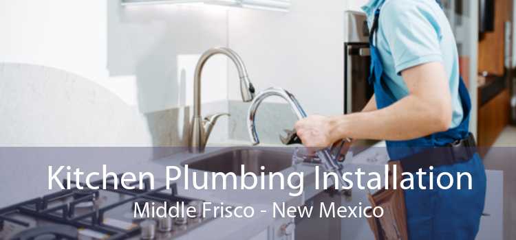 Kitchen Plumbing Installation Middle Frisco - New Mexico