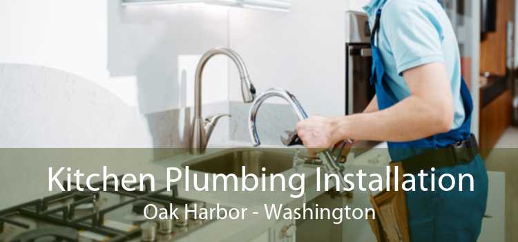 Kitchen Plumbing Installation Oak Harbor - Washington