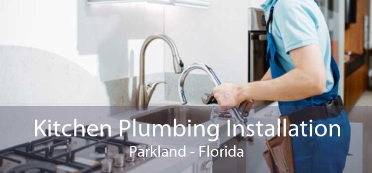 Kitchen Plumbing Installation Parkland - Florida