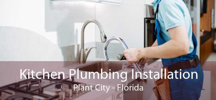 Kitchen Plumbing Installation Plant City - Florida