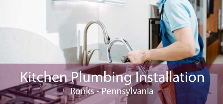 Kitchen Plumbing Installation Ronks - Pennsylvania