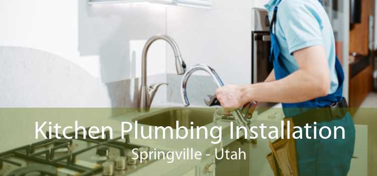 Kitchen Plumbing Installation Springville - Utah