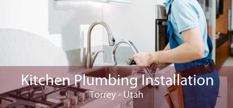 Kitchen Plumbing Installation Torrey - Utah