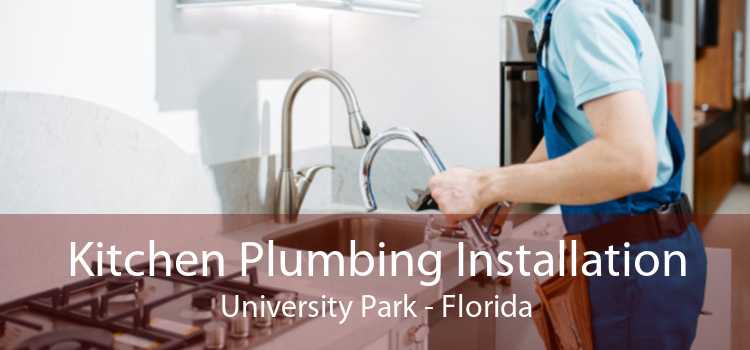 Kitchen Plumbing Installation University Park - Florida