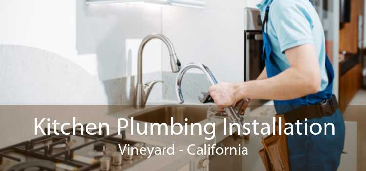 Kitchen Plumbing Installation Vineyard - California