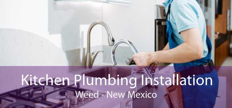 Kitchen Plumbing Installation Weed - New Mexico