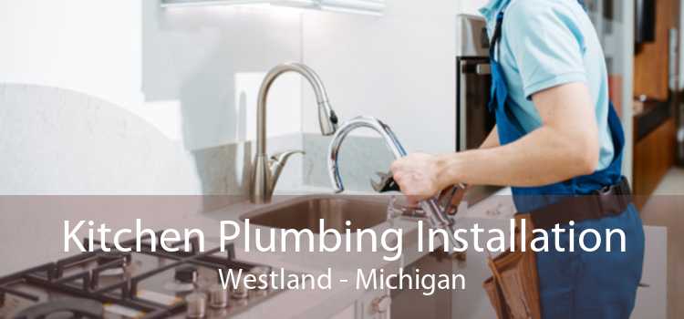 Kitchen Plumbing Installation Westland - Michigan
