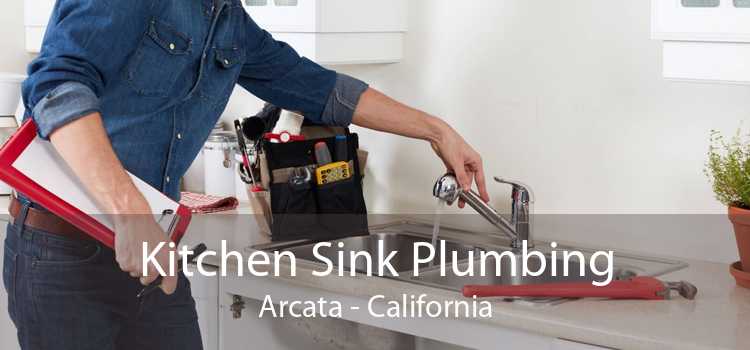 Kitchen Sink Plumbing Arcata - California