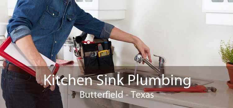 Kitchen Sink Plumbing Butterfield - Texas