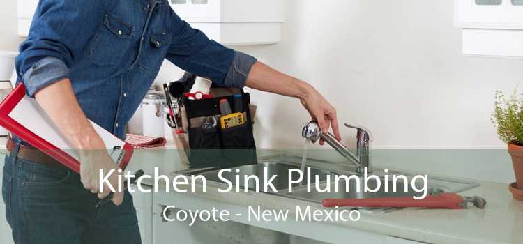 Kitchen Sink Plumbing Coyote - New Mexico
