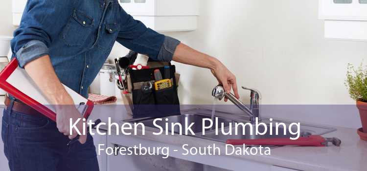 Kitchen Sink Plumbing Forestburg - South Dakota