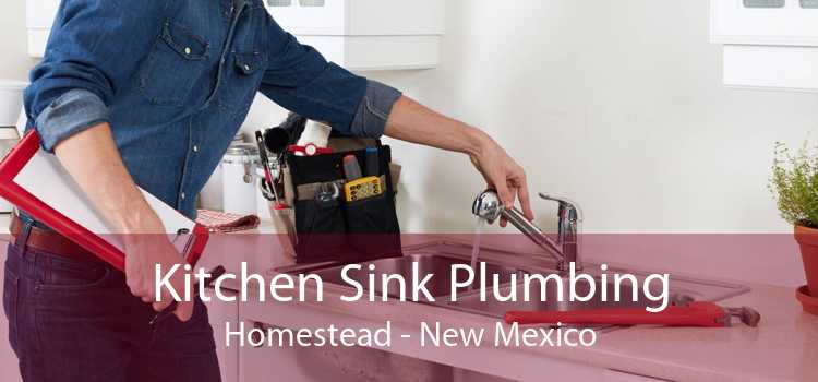 Kitchen Sink Plumbing Homestead - New Mexico