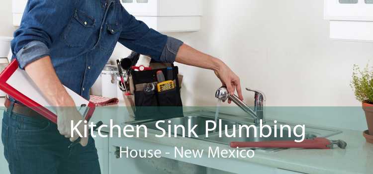 Kitchen Sink Plumbing House - New Mexico