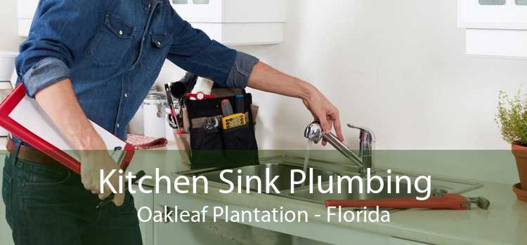 Kitchen Sink Plumbing Oakleaf Plantation - Florida