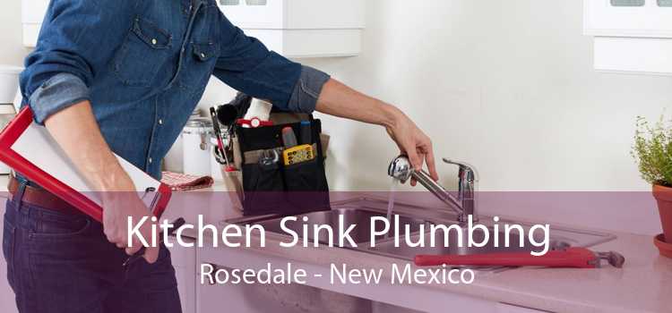 Kitchen Sink Plumbing Rosedale - New Mexico