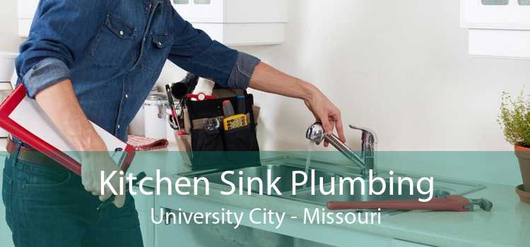 Kitchen Sink Plumbing University City - Missouri