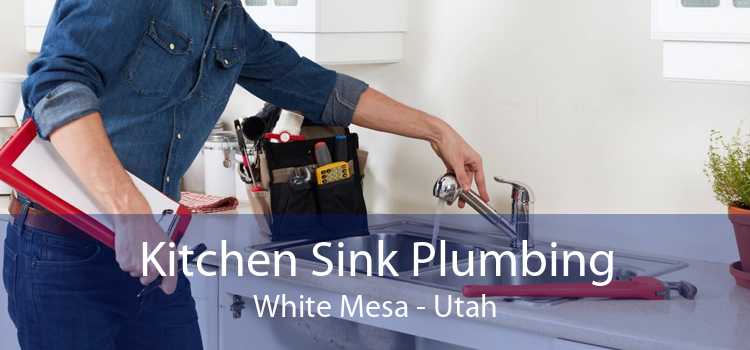 Kitchen Sink Plumbing White Mesa - Utah