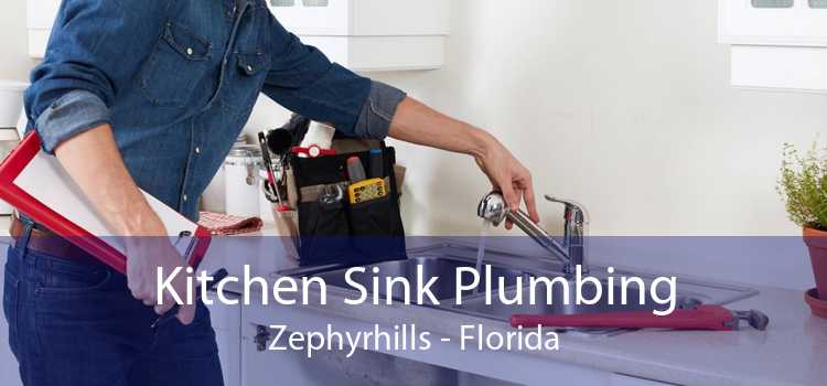 Kitchen Sink Plumbing Zephyrhills - Florida