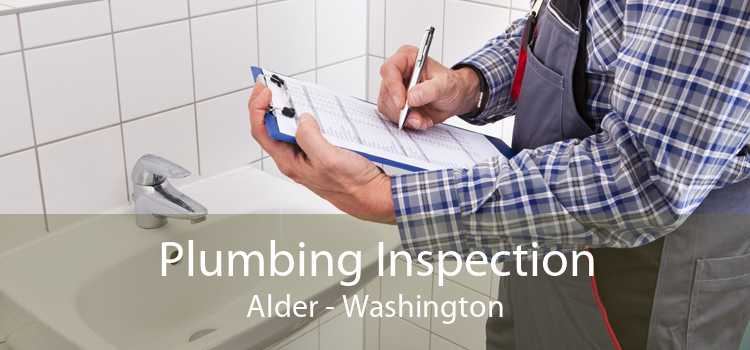Plumbing Inspection Alder - Washington