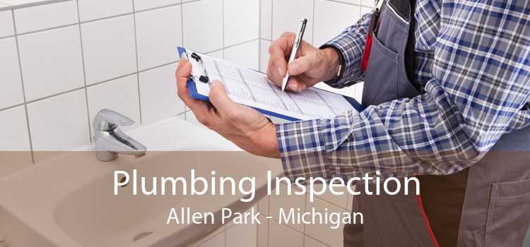 Plumbing Inspection Allen Park - Michigan