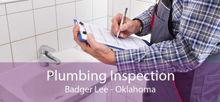Plumbing Inspection Badger Lee - Oklahoma