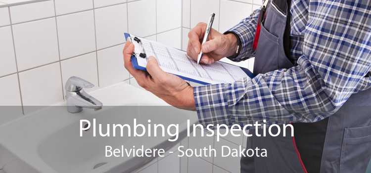 Plumbing Inspection Belvidere - South Dakota
