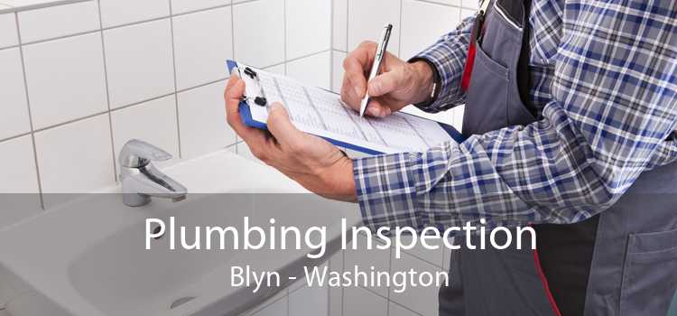 Plumbing Inspection Blyn - Washington