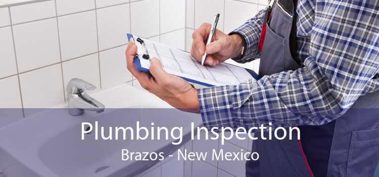 Plumbing Inspection Brazos - New Mexico