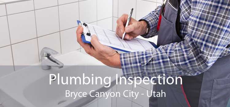 Plumbing Inspection Bryce Canyon City - Utah