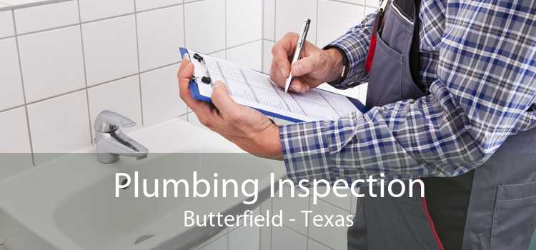 Plumbing Inspection Butterfield - Texas