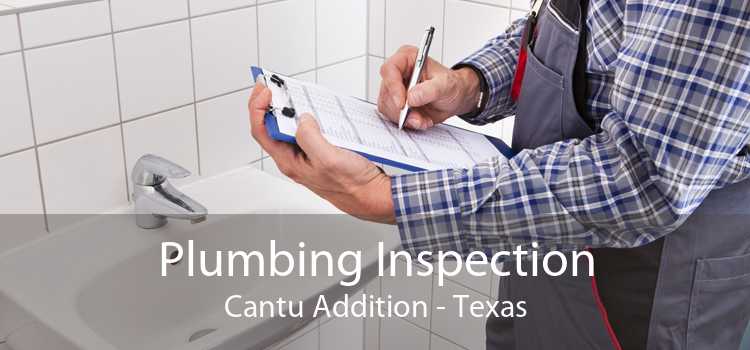Plumbing Inspection Cantu Addition - Texas