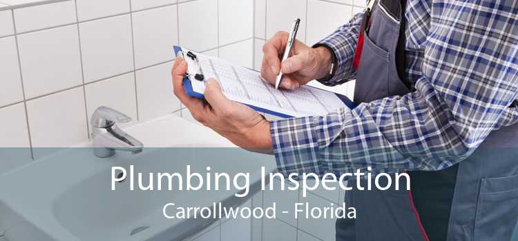 Plumbing Inspection Carrollwood - Florida
