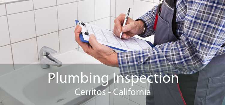 Plumbing Inspection Cerritos - California
