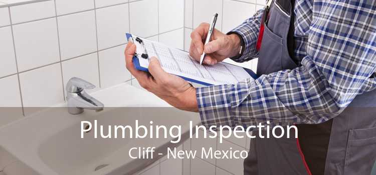 Plumbing Inspection Cliff - New Mexico