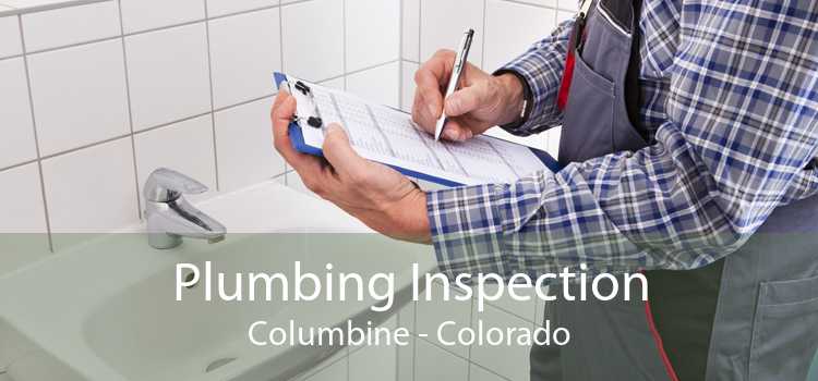 Plumbing Inspection Columbine - Colorado