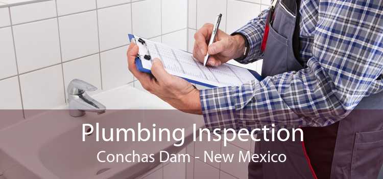 Plumbing Inspection Conchas Dam - New Mexico