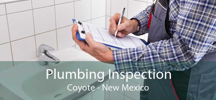 Plumbing Inspection Coyote - New Mexico
