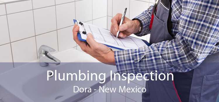 Plumbing Inspection Dora - New Mexico